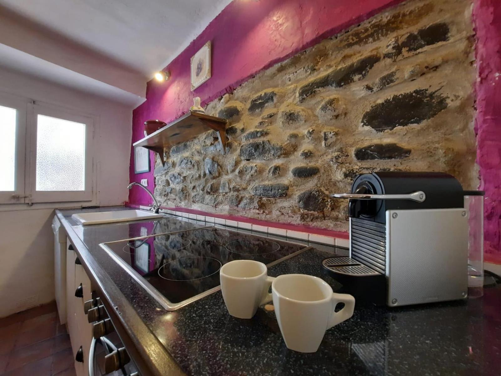 Casa Rural Cal Rocco Porta Del Pirineu Pobla de Segur Dış mekan fotoğraf